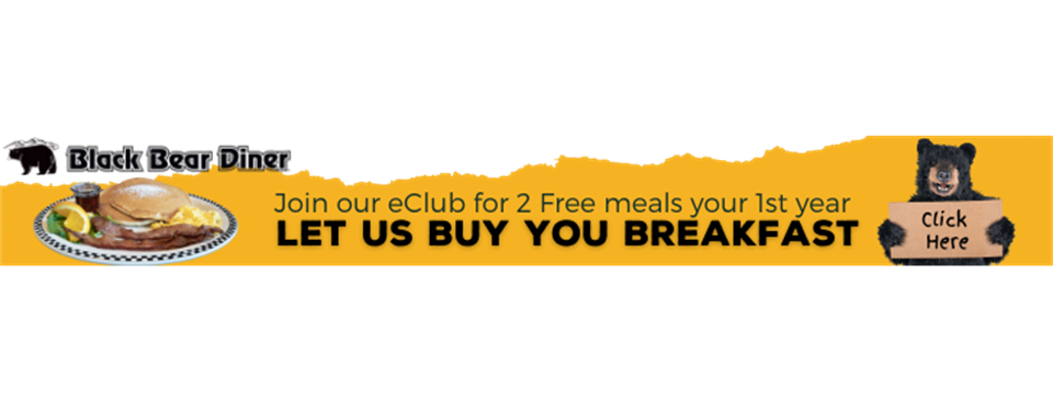 Black Bear Sponsor